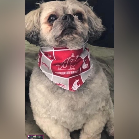 Dog or Cat Scarves S-M-L  WSU - Picture 2 of 3